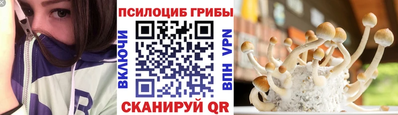 Псилоцибиновые грибы GOLDEN TEACHER Называевск